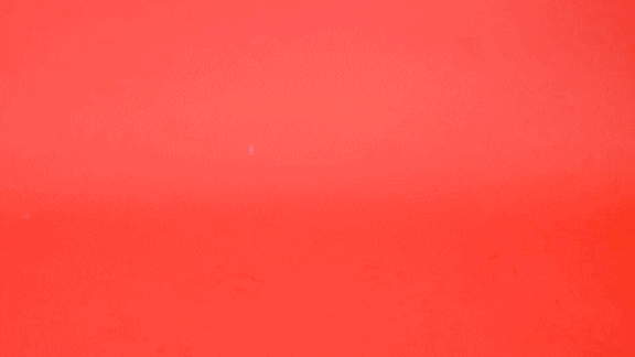 On My Way Help Is On The Way GIF