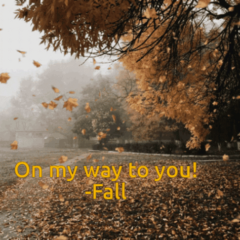 On My Way To You -Fall Is Written In Yellow GIF