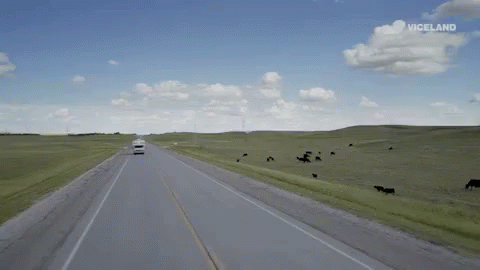 On The Road GIF
