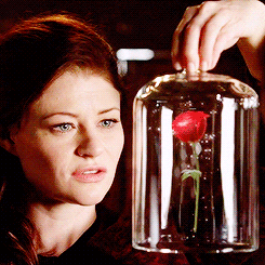 Once Upon A Time Belle With Rose GIF