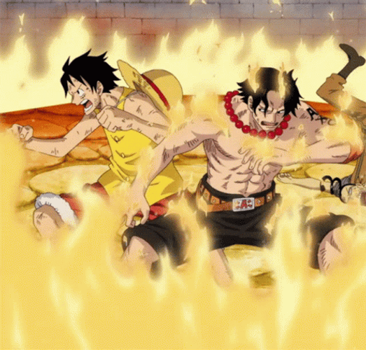 One Piece Ace In A Battle With Luffy GIF 