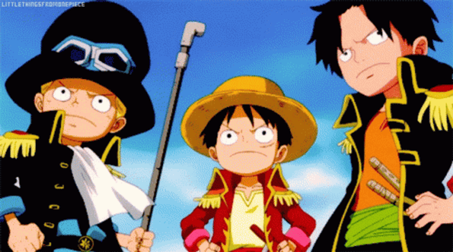 One Piece Ace, Sabo And Luffy GIF
