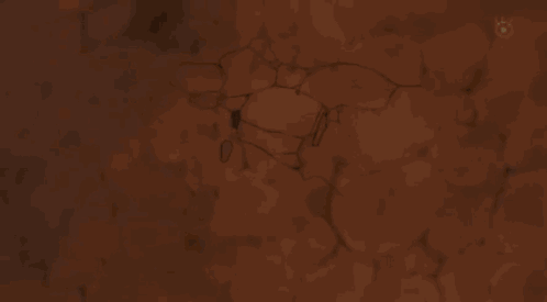 One Piece Cast And Joyboy Eyes Out GIF