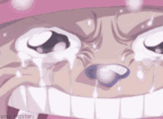 One Piece Chopper Angry Crying GIF