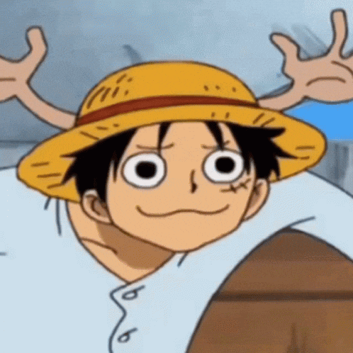 One Piece Gif GIF