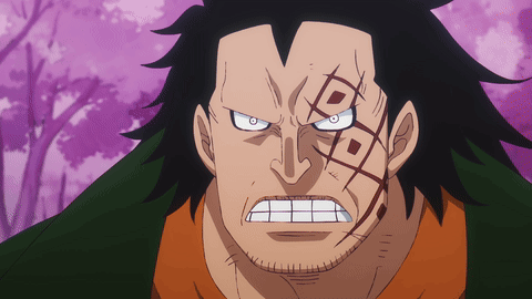One Piece Monkey D Dragon Shouting GIF