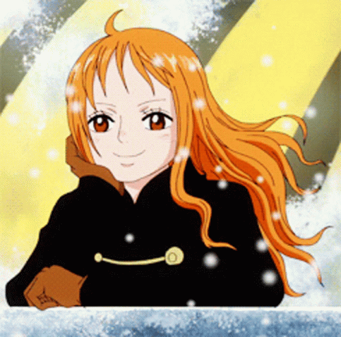 One Piece Nami Snowy GIF