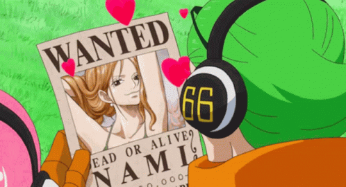 One Piece Nami Wanted GIF