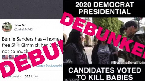 Online News Politics Debunked GIF