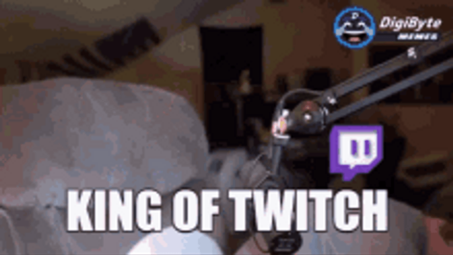 Online Streamer King Of Twitch Paper Crown GIF