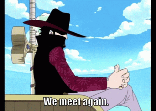 Only This Time We Meet Again Mihawk GIF