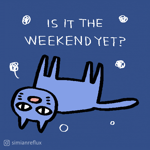 Only Wednesday Cat Is It The Weekend Yet GIF