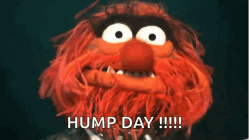 Only Wednesday Hump The Muppets Animal GIF