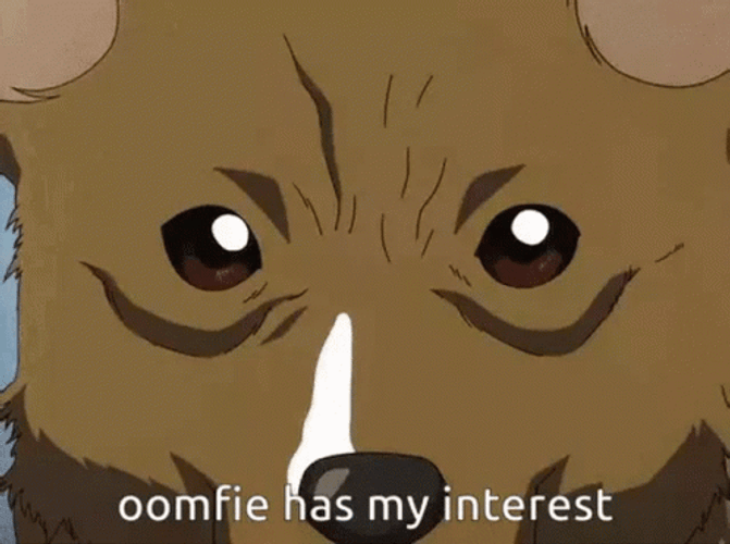 Oomfie Dog Interests GIF