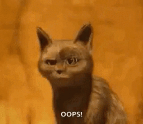 Oops My Bad Cat Reaction GIF