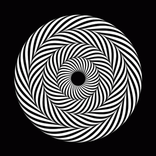 Op Art Pattern Rotation Optical Illusions GIF