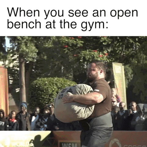 Open Bench At The Gym GIF