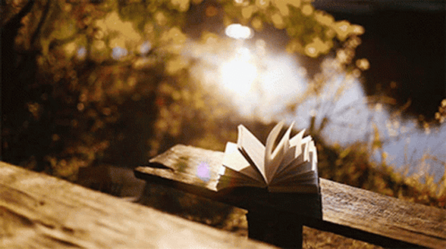 Animated Open Book Divide Conquer GIF