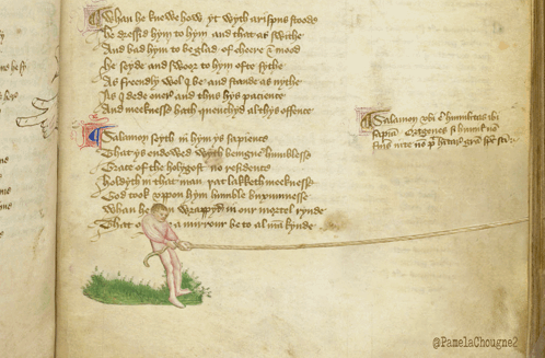 Open Book With Man Laying on Grass