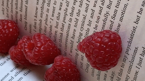 Open Book With Raspberry GIF