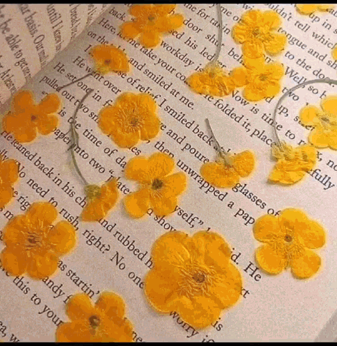 Open Book With Yellow Flowers