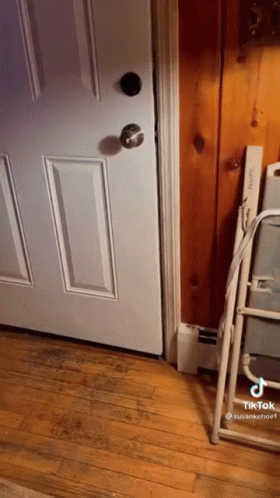 Open The Door Black Bear GIF