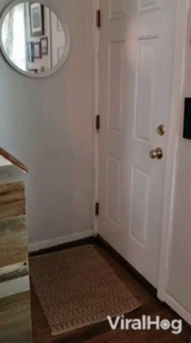 Open The Door Dog GIF