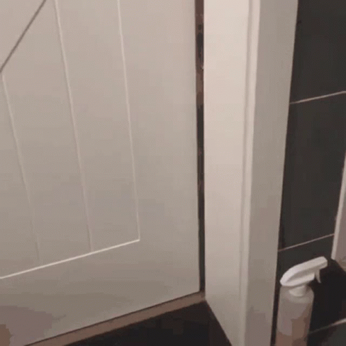 Open The Door Orange Cat GIF