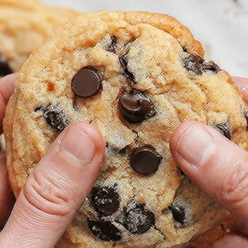 Opening Cookie Chocolate Chip Meme GIF