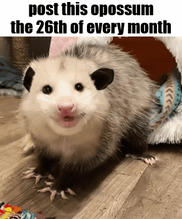 Opossum Post This Opossum the 26th of Every Month