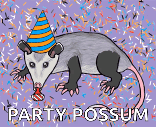 Opossum Wearing Party Hat Saying Party Possum