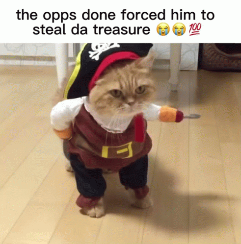 Opps Cat Dressed As Pirate GIF