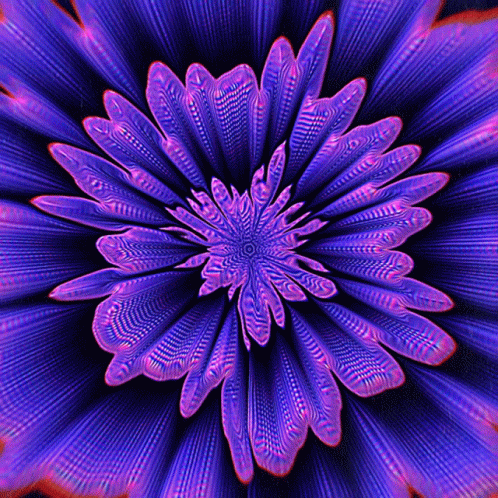 Infinite Purple Flower Blooming Optical Illusions GIF