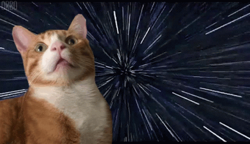 Orange And White Cat Looking Up At Stars GIF