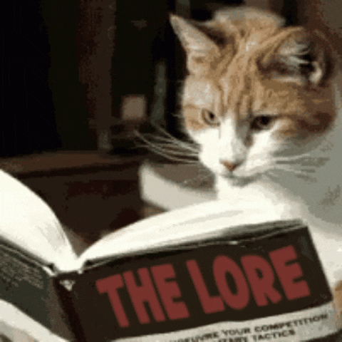 Orange and White Cat Reading Lore Book