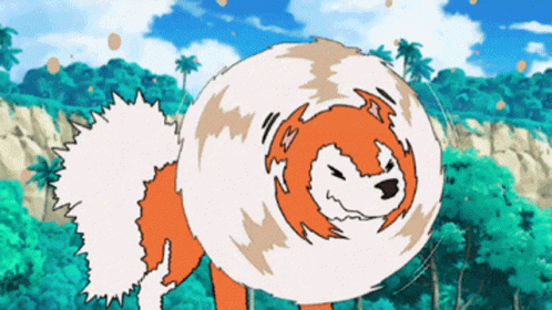 Orange and White Dog with Swirling Tail