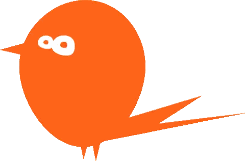 Orange Bird with Long Tail and White Eye
