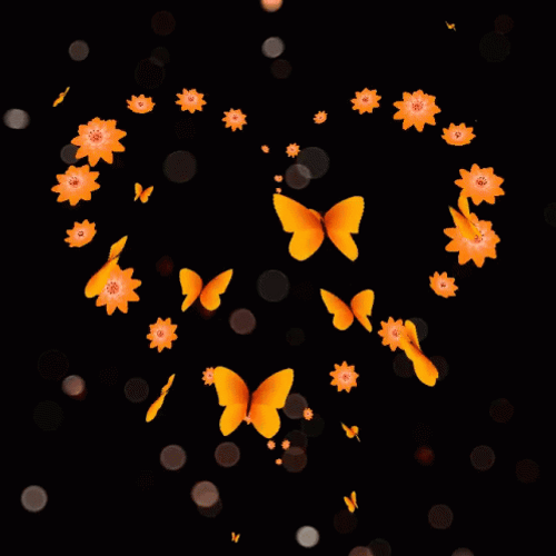 Orange Butterflies Forming Heart GIF