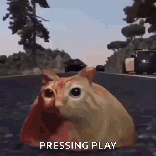 Orange Cat Car Chase Pressing Play GIF