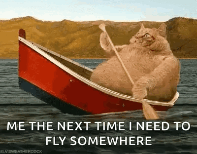 Orange Cat Row The Boat Far From Shore GIF