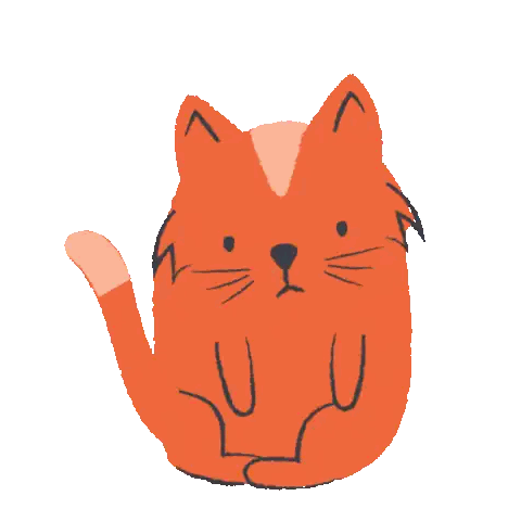 Orange Cat Smiley Face