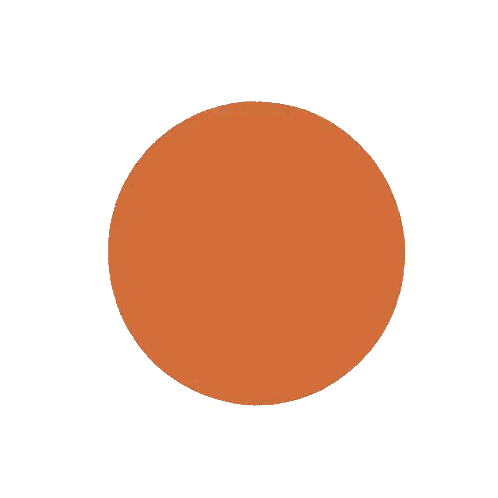 Orange Circle With Triangle