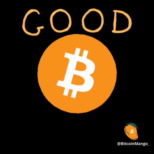 Orange Coin White B Saying Morning GIF