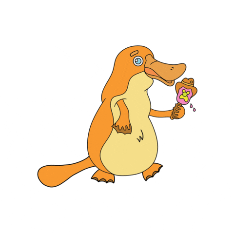 Orange Dizzy Platypus GIF