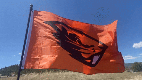 Orange Flag With Beaver Flying in Wind