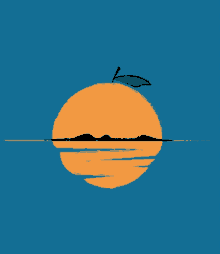 Orange Fruit Sunset Reflection GIF