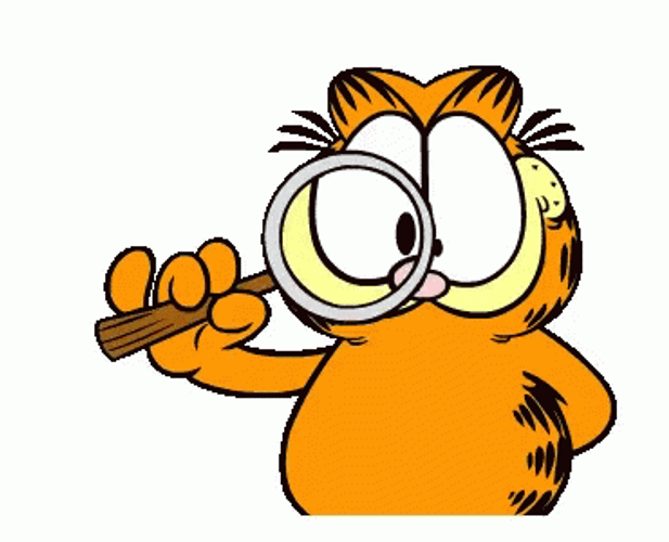 Orange Ginger Cat Garfield With Magnifying Glass GIF