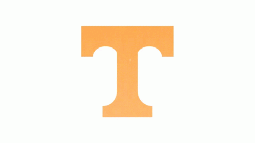 Orange Letter T On A White Background GIF