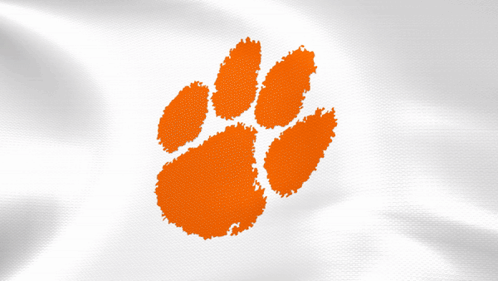 Orange Paw Print on Cloth