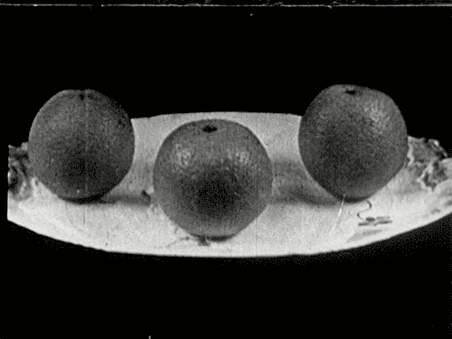 Orange Peeling Stop Motion GIF